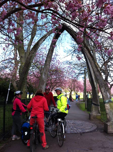 jawbone-arch The whale jawbone archway at the entrance to Jawbone Walk in the Meadows, Edinburgh