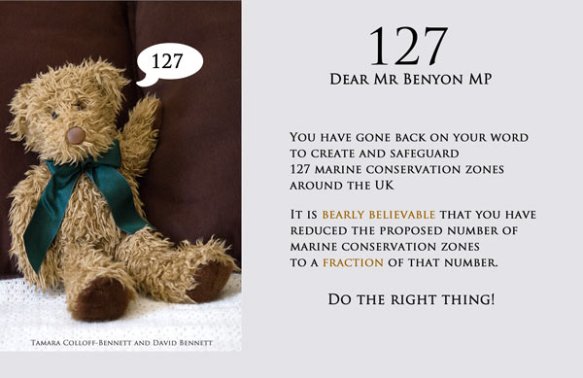 127-fully-protected-marine-conservation-zones-around-the-UK