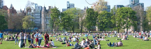 Summer On The Meadows