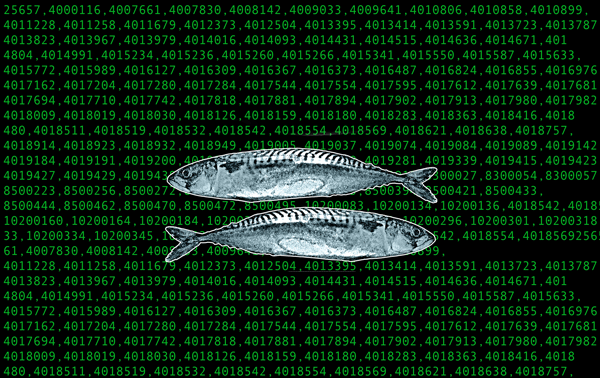 Matrix machine code with trout