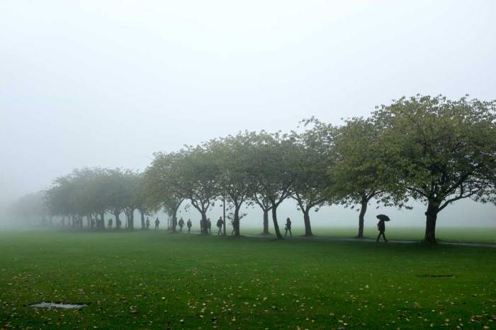 haar-on-the-Jawbone-Walk-in-Edinburgh