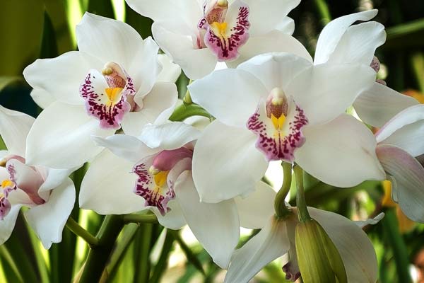 ...because no blog post should be without a photo