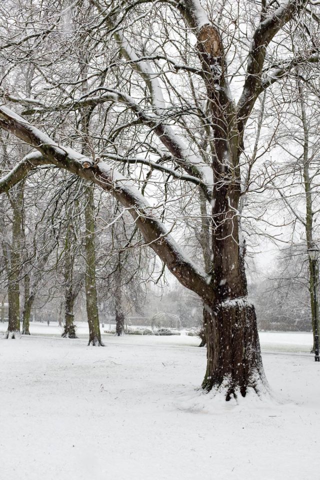 Cambridge in the snow on 10 December 2017