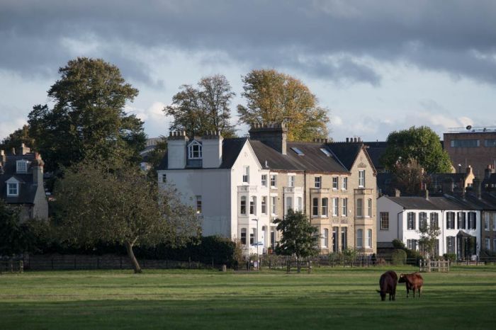 Houses bordering Midsummer Common in Cambridge, with attendant cows on the Common