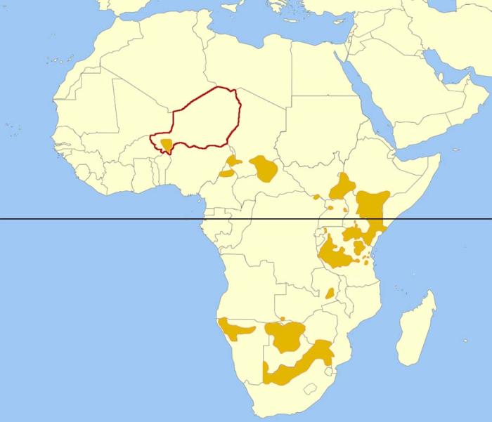Map of African Giraffe distribution showing Niger highlighted and the location of the West African Giraffe population