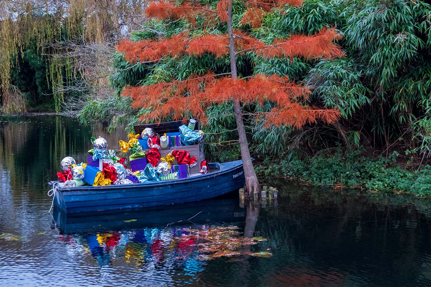 boat on lake, moored by tree with orange-red branches, and filled with presents