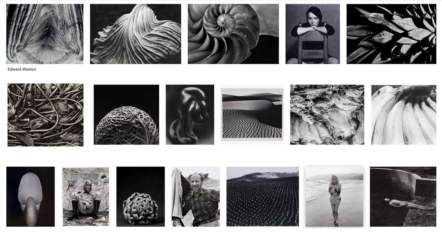 Edward Weston photographs